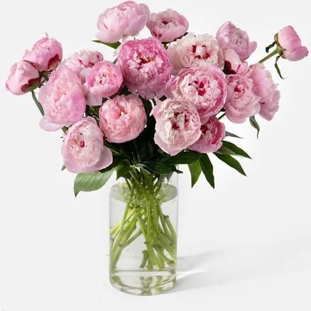 Valentine's Day Flower Delivery | Double the Peony Bouquet with Pink Peonies UrbanStems