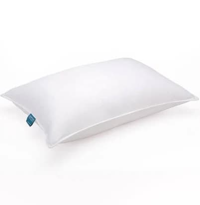 Eddie Bauer 700 Fill Power Goose Feathers Down Pillow