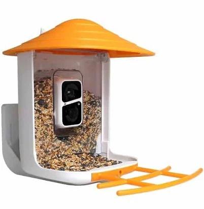 Beakview Bird Feeder Camera