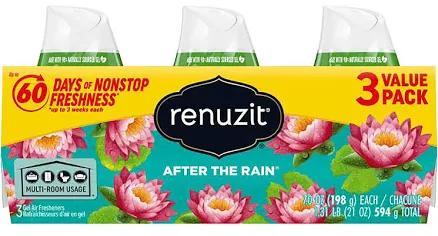 Renuzit After the Rain Gel Air Freshener