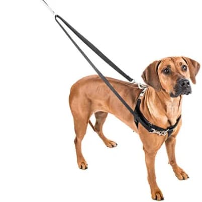 2 Hounds Freedom No- Pull Training Harness