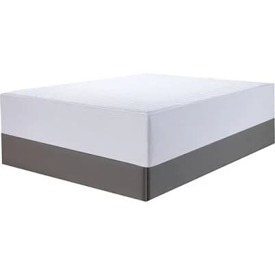 Claritin Allergen Barrier Mattress Protector