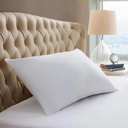 Online Down Alternative Pillow