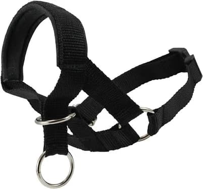 Dogs My Love Dog Head Collar Halter