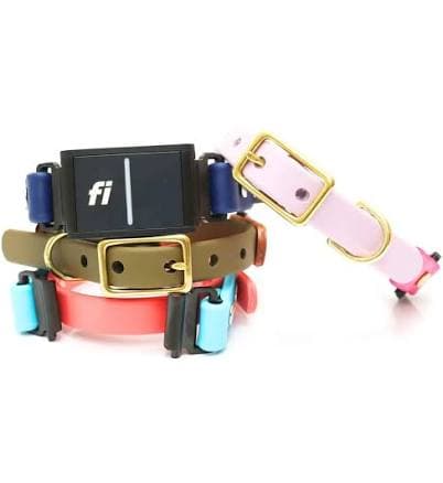 DD: Fi Compatible Waterproof Dog Collar