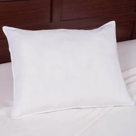 Lavish Home Ultra-Soft Down Alternative Pillows (Set of 2)