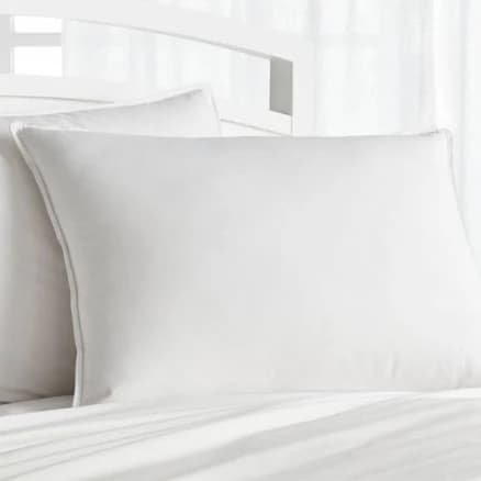 crate & barrel Premium Down Pillow