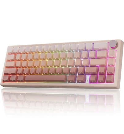 RisoPhy 60% Wireless Mechanical Keyboard, 2.4G/USB-C/Bluetooth Gaming Keyboard with LED Backlight/Gasket Mount/Red Switches/Metal Knob/Software