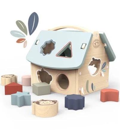 Speedy Monkey House Shape Sorter