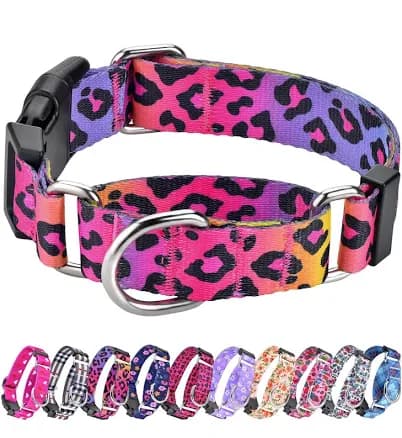 Martingale Collar for Dogs, Adjustable Soft Nylon Dog Collars with Special Design Cute Patterns for Small Medium Large Dog