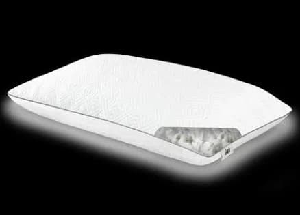 Sealy Adjustable Pillow