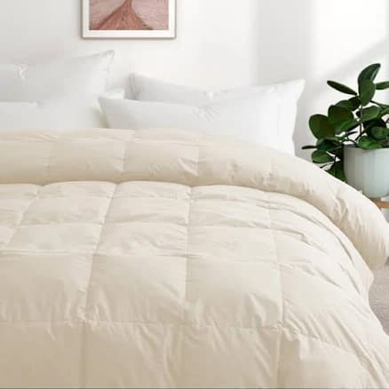 Puredown All Season Organic Cotton Down Feather Comforter