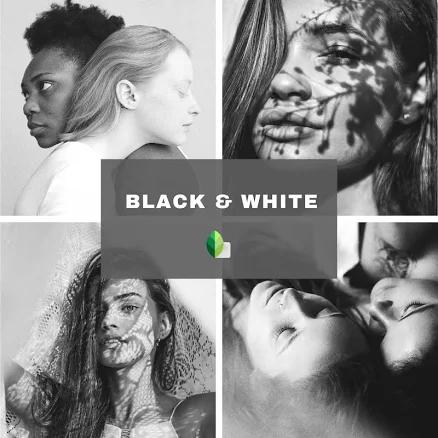 10 Black and White Snapseed Presets, Handmade, Original, One-click and Easy To Use, Photo Presets, Mobile Presets