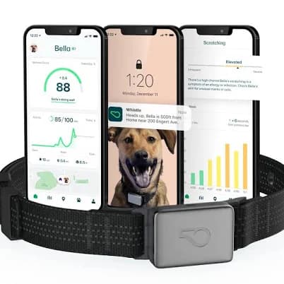Whistle Switch Smart Collar Kit GPS location Health & Fitness