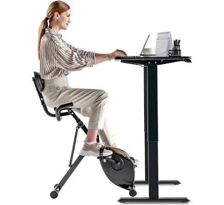 Egofit Under Desk Bike