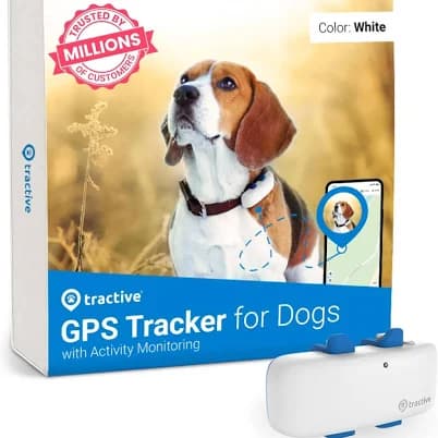New In Box Tractive Gps Tracker For Dogs | Color: White | Size: Os | Herk80's Closet
