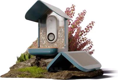 Bird Buddy Smart Bird Feeder with Camera and Solar Roof