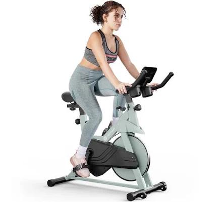 DeerRun S500 Indoor Smart Stationary Cycling Bike