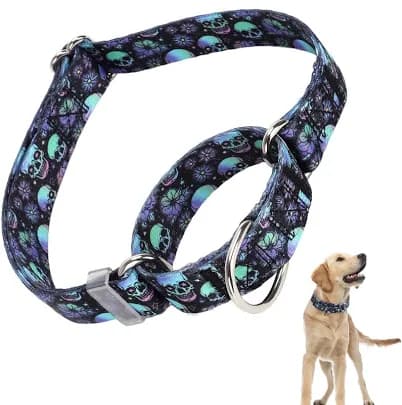 Martingale Collar for Dogs, Skull Dog Collar for Large Medium Small Dogs, Adjustable Premium No Slip Collar for Girl or Boy Dogs-Prevents Slipping