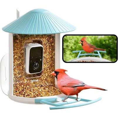 Netvue Birdfy Feeder Lite with Solar Panel