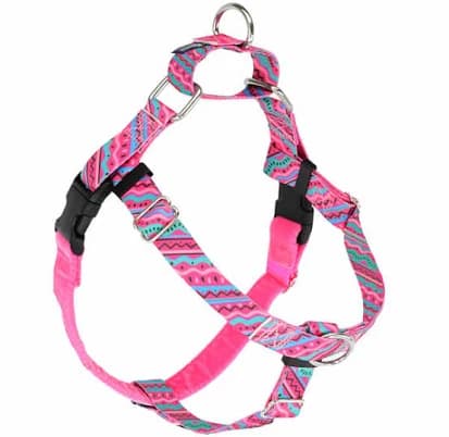 EarthStyle Freedom No- Pull Dog Harness
