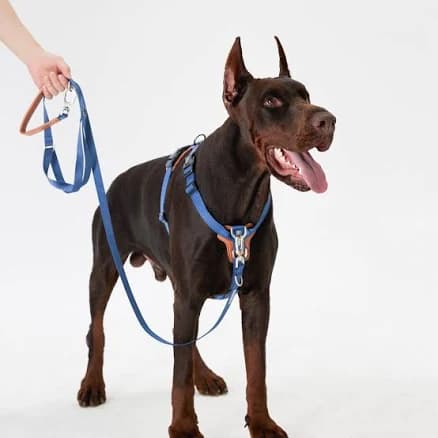 HiDream No- Pull Front Clip Dog Harness