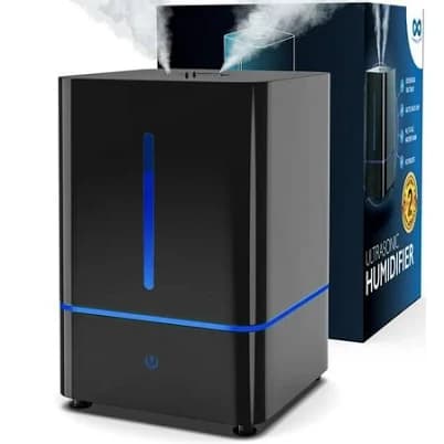 Everlasting Comfort Cool Mist Humidifier