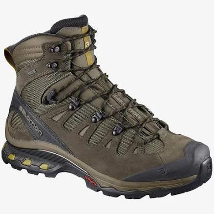 Salomon Men's Quest 4D 3 GTX