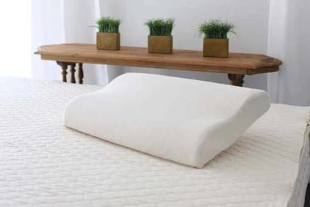 Savvy Rest Organic Latex Contour Pillow