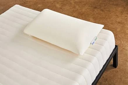 Sleep On Latex Natural Latex Pillow