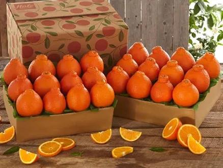 Hale Groves Honeybells 2-Tray Fresh Fruit Gift Box