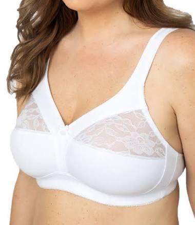 Appleseed's Women's Plusform Cotton Stretch Comfort Bra