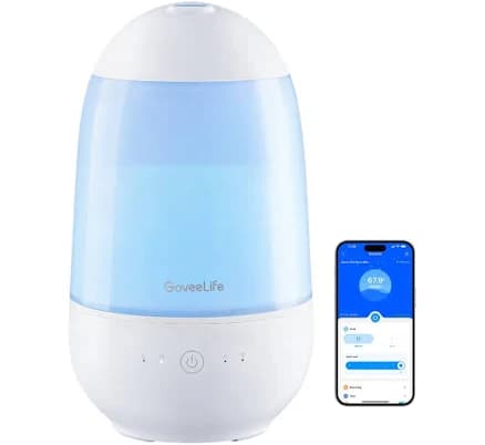 GoveeLife Smart Mini Humidifier