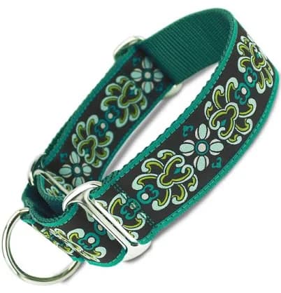 Martingale Collar