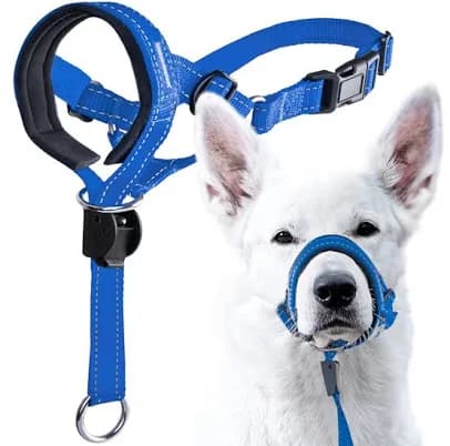 GoodBoy Dog Head Halter