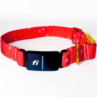 Personalized Fi Collars