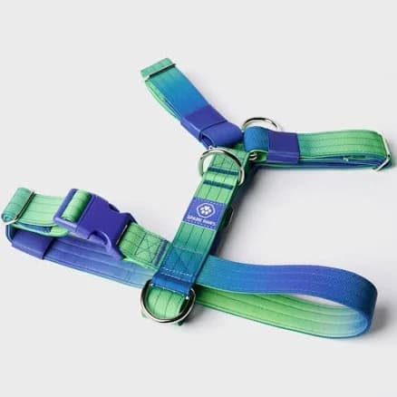Spark Paws Large Dog No-Pull Harness, Halter Design with Front Clip, Durable and Heavy-Duty for Big and Strong Breeds
