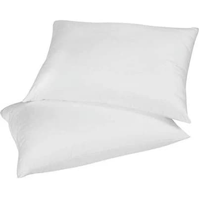 East Coast Bedding Duck & Goose Feather Down Pillow