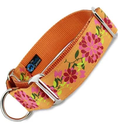 Summer Blossom Martingale Collar
