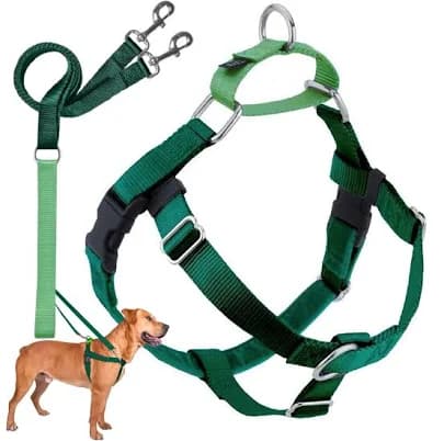 2 Hounds Design Freedom No- Pull Dog Harness