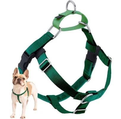 2 Hounds Freedom No- Pull Dog Harness