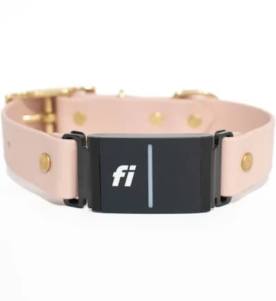 Cookies & Co. Fi Compatible In-Line Classic Dog Collar
