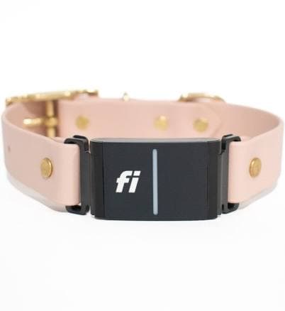 Cookies & Co. Fi Compatible In-Line Classic Dog Collar