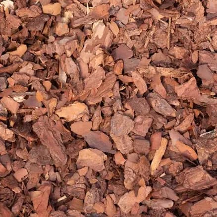 Pine Bark Nuggets