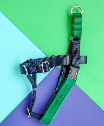 Freedom No- Pull Harness