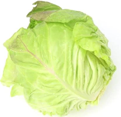 Organic Green Cabbage