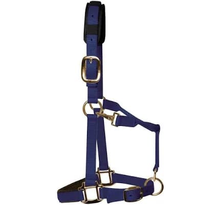 KM Elite Padded Headcollar