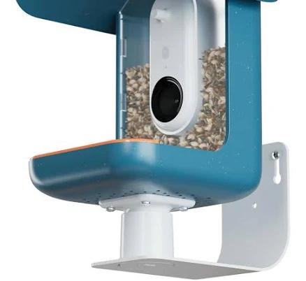 Bird Buddy Wall Mount Bird Feeder Accessory