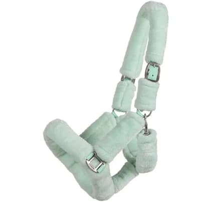 Halter QHP Alaska