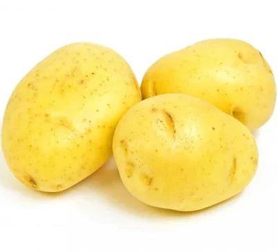 Premium Quality Yukon Gold Potatoes 10Lbs